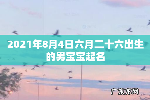 2021年8月4日六月二十六出生的男宝宝起名