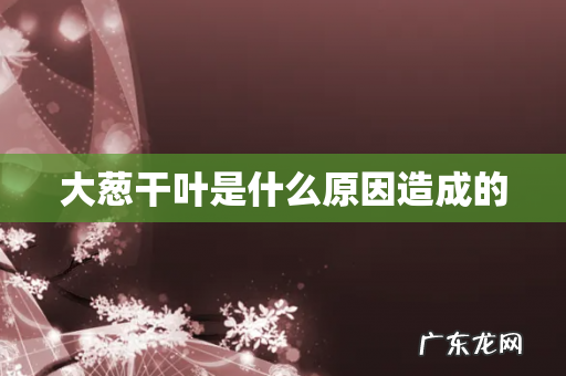 大葱干叶是什么原因造成的