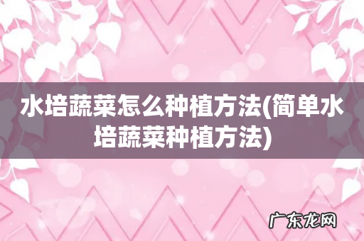 简单水培蔬菜种植方法 水培蔬菜怎么种植方法