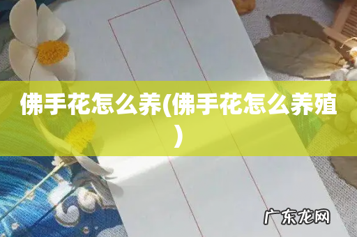 佛手花怎么养殖 佛手花怎么养