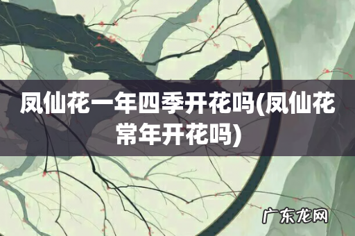 凤仙花常年开花吗 凤仙花一年四季开花吗