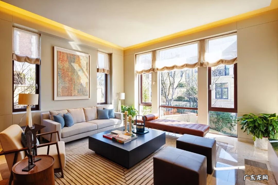 哪种植物吸收甲醛 植物可以吸收甲醛吗