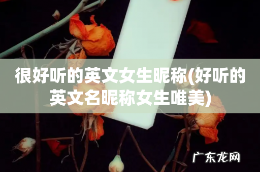 好听的英文名昵称女生唯美 很好听的英文女生昵称