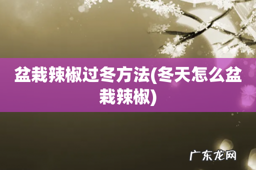 冬天怎么盆栽辣椒 盆栽辣椒过冬方法