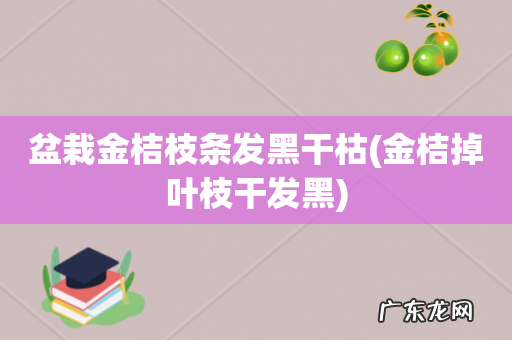 金桔掉叶枝干发黑 盆栽金桔枝条发黑干枯