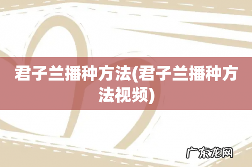 君子兰播种方法视频 君子兰播种方法
