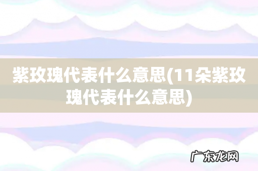 11朵紫玫瑰代表什么意思 紫玫瑰代表什么意思