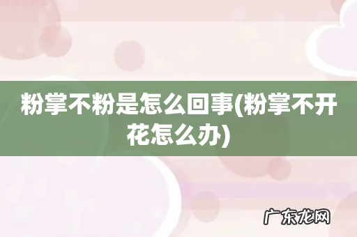 粉掌不开花怎么办 粉掌不粉是怎么回事