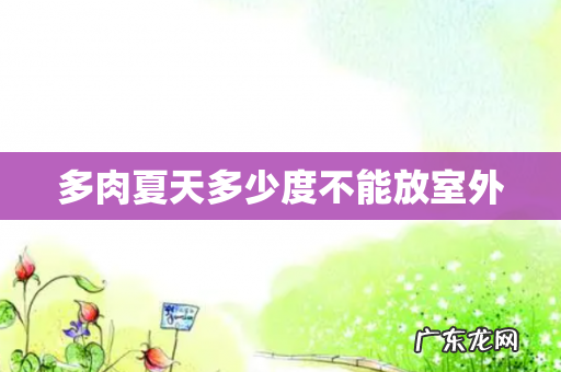 多肉夏天多少度不能放室外