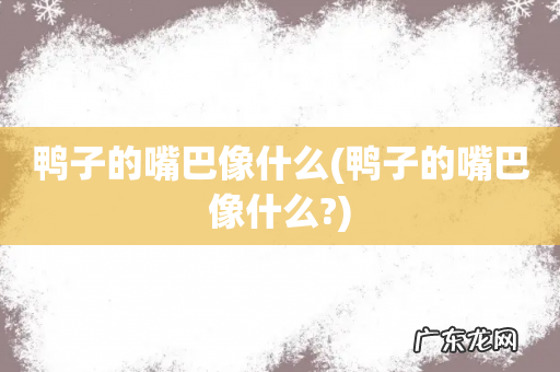 鸭子的嘴巴像什么? 鸭子的嘴巴像什么
