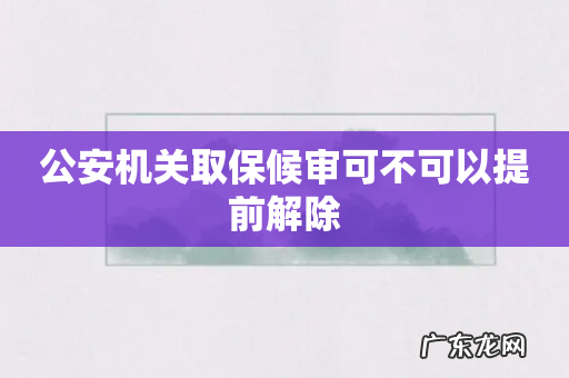 公安机关取保候审可不可以提前解除