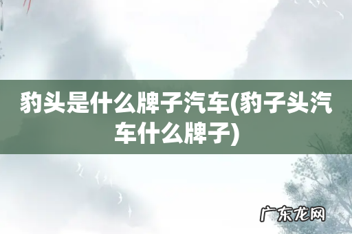 豹子头汽车什么牌子 豹头是什么牌子汽车