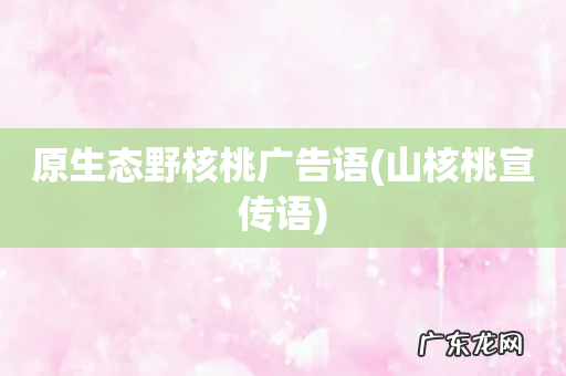 山核桃宣传语 原生态野核桃广告语
