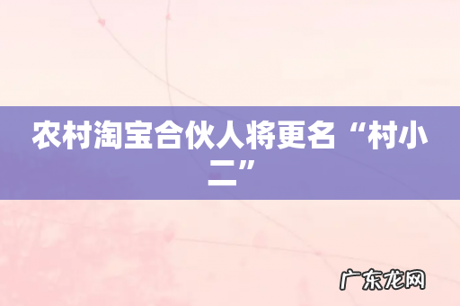 农村淘宝合伙人将更名“村小二”