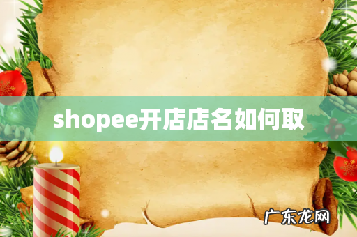 shopee开店店名如何取