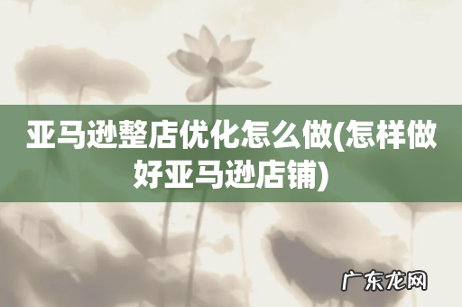 怎样做好亚马逊店铺 亚马逊整店优化怎么做