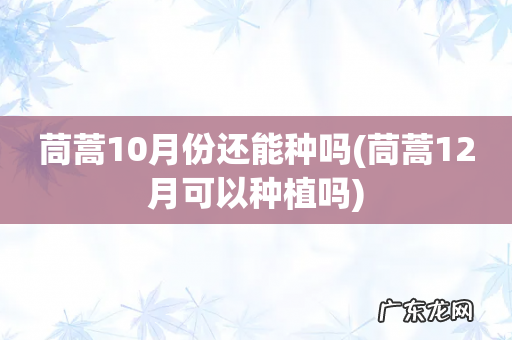 茼蒿12月可以种植吗 茼蒿10月份还能种吗