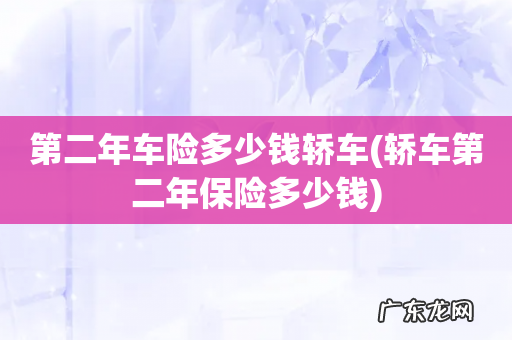 轿车第二年保险多少钱 第二年车险多少钱轿车