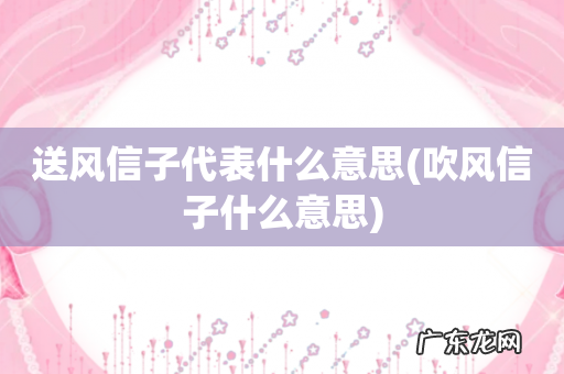 吹风信子什么意思 送风信子代表什么意思