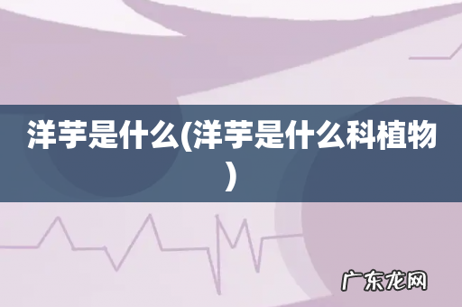 洋芋是什么科植物 洋芋是什么