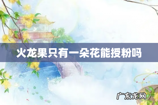 火龙果只有一朵花能授粉吗
