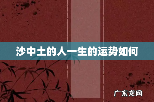 沙中土的人一生的运势如何