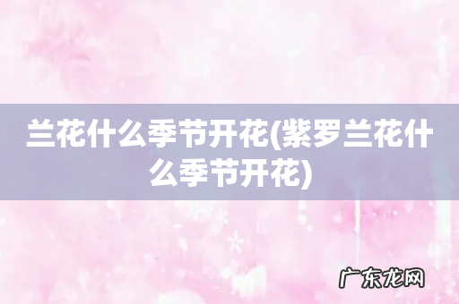 紫罗兰花什么季节开花 兰花什么季节开花