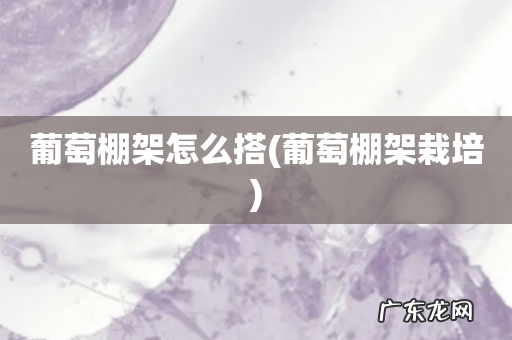 葡萄棚架栽培 葡萄棚架怎么搭