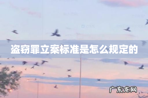 盗窃罪立案标准是怎么规定的