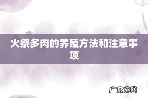 火祭多肉的养殖方法和注意事项