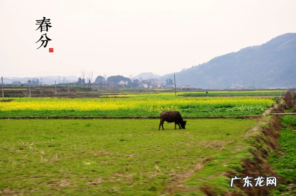 东南西北那边的风水好 风水学里东南西北各属什么