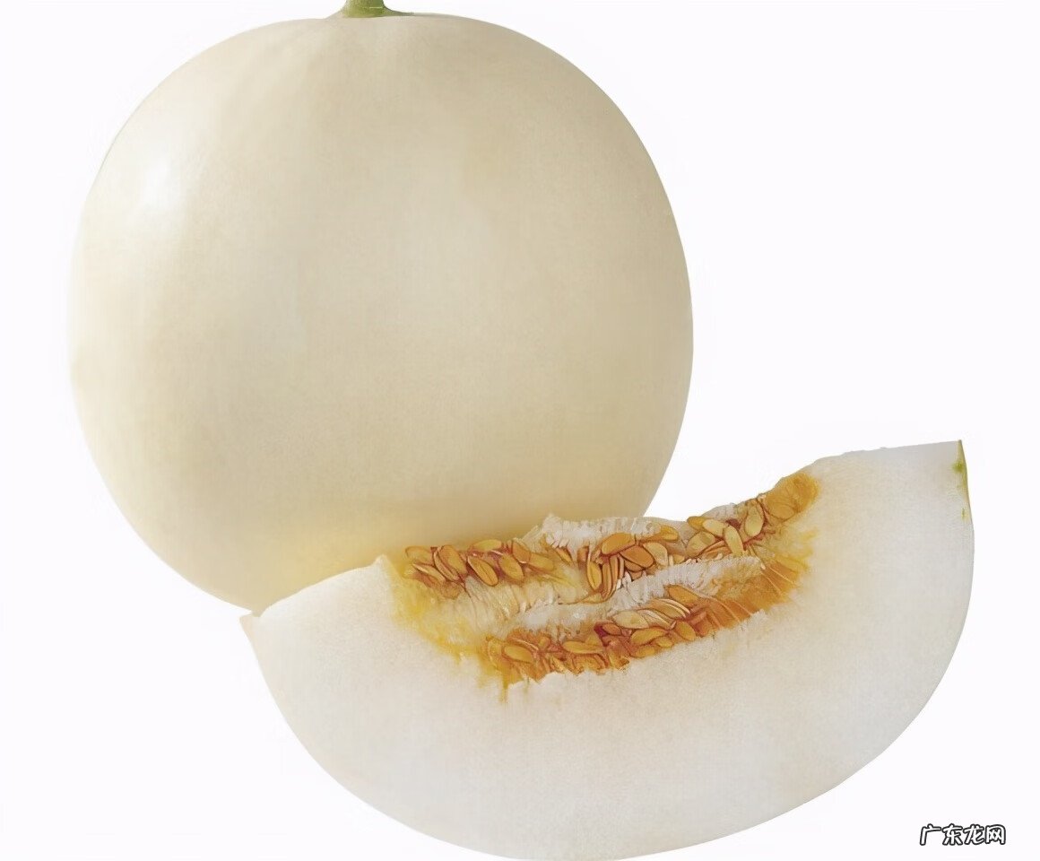 白瓜几月份种植 白瓜生长环境