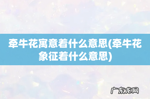 牵牛花象征着什么意思 牵牛花寓意着什么意思