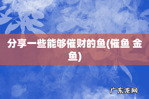 催鱼 金鱼 分享一些能够催财的鱼