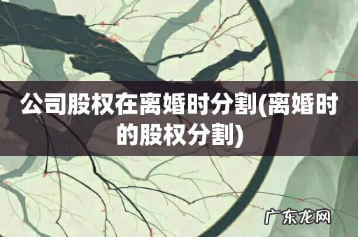 离婚时的股权分割 公司股权在离婚时分割