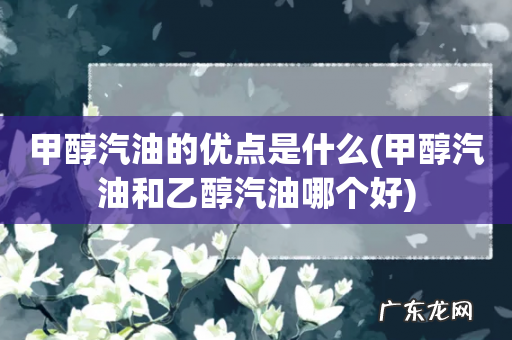 甲醇汽油和乙醇汽油哪个好 甲醇汽油的优点是什么