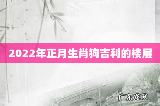 2022年正月生肖狗吉利的楼层