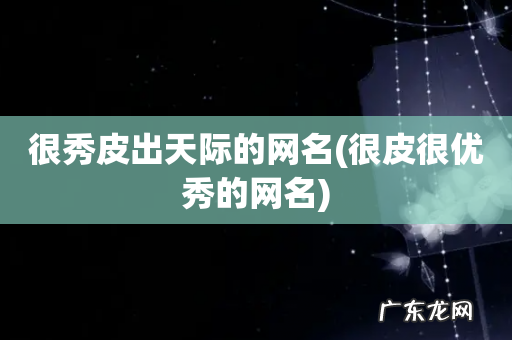 很皮很优秀的网名 很秀皮出天际的网名