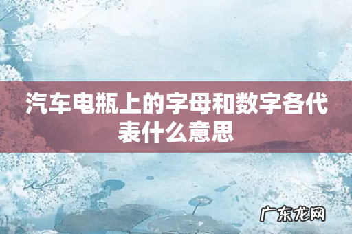 汽车电瓶上的字母和数字各代表什么意思