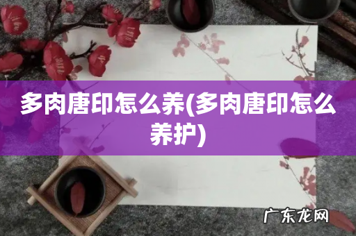 多肉唐印怎么养护 多肉唐印怎么养