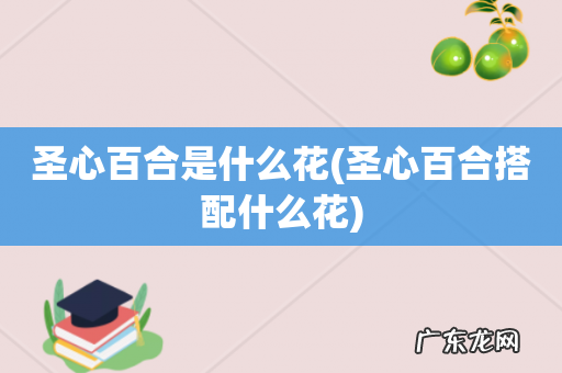 圣心百合搭配什么花 圣心百合是什么花
