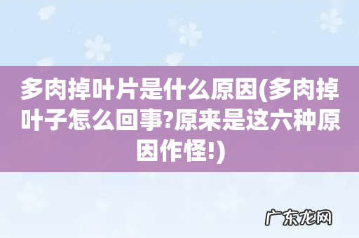 多肉掉叶子怎么回事?原来是这六种原因作怪! 多肉掉叶片是什么原因