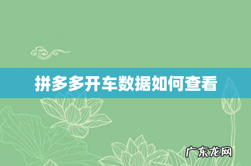 拼多多开车数据如何查看