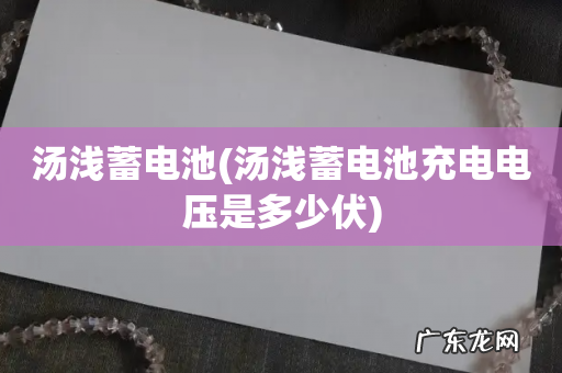 汤浅蓄电池充电电压是多少伏 汤浅蓄电池