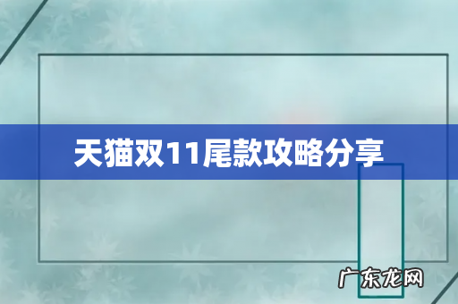 天猫双11尾款攻略分享
