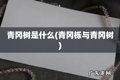 青冈栎与青冈树 青冈树是什么