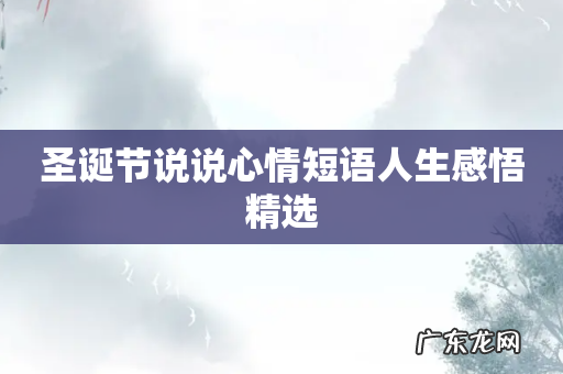 圣诞节说说心情短语人生感悟精选