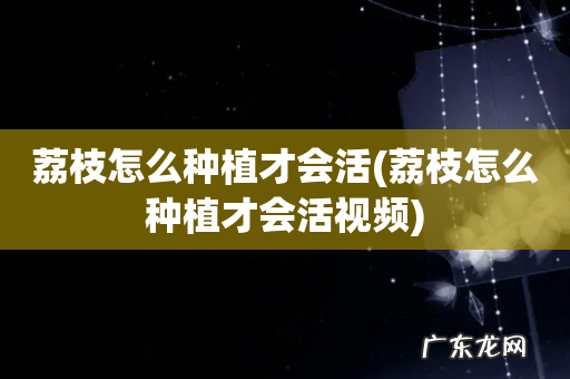 荔枝怎么种植才会活视频 荔枝怎么种植才会活