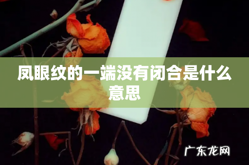 凤眼纹的一端没有闭合是什么意思