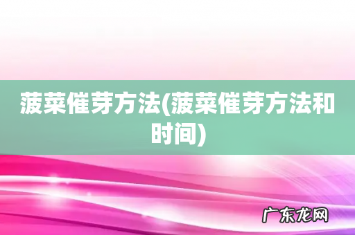 菠菜催芽方法和时间 菠菜催芽方法